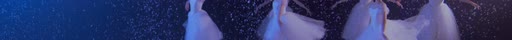 first frame of NocturneDance_3840x302_60p_10b_High10_band64_crf28_L4.2_buf225M_5.03Mbps.264
