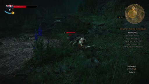 first frame of Witcher3_1920x1080_60p_8b_High_cbr6M_L4.2_buf93M_6.0Mbps.264