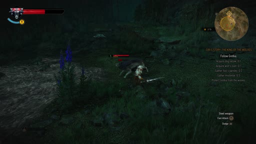 first frame of Witcher3_1920x1080_60p_8b_High_cbr70M_L4.2_buf93M_69.7Mbps.264