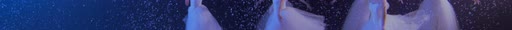 first frame of NocturneDance_3840x227_60p_10b_sb128_q15_L4.1M_buf20M_14.01Mbps.ivf