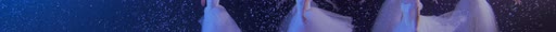 first frame of NocturneDance_3840x227_60p_10b_sb128_q15_fgs08_L4.1M_buf20M_14.06Mbps.ivf