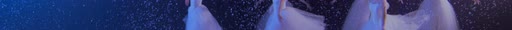 first frame of NocturneDance_3840x227_60p_10b_sb128_q15_sr12_L4.1M_buf20M_12.63Mbps.ivf