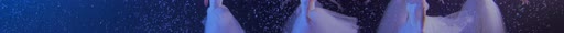 first frame of NocturneDance_3840x227_60p_10b_sb128_q15_sr12_fgs08_L4.1M_buf20M_12.68Mbps.ivf
