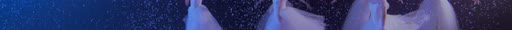 first frame of NocturneDance_3840x227_60p_10b_sb128_q34_L4.0M_buf12M_4.08Mbps.ivf