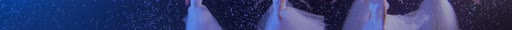 first frame of NocturneDance_3840x227_60p_10b_sb128_q34_fgs08_L4.0M_buf12M_4.13Mbps.ivf