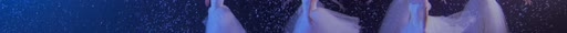 first frame of NocturneDance_3840x227_60p_10b_sb128_q34_sr12_fgs08_L4.0M_buf12M_3.96Mbps.ivf