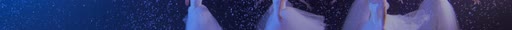 first frame of NocturneDance_3840x227_60p_10b_sb128_q34_sr16_L4.0M_buf12M_3.32Mbps.ivf