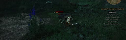 first frame of Witcher3_1920x611_60p_8b_sb128_q34_sr12_fgs02_L4.0M_buf12M_7.92Mbps.ivf