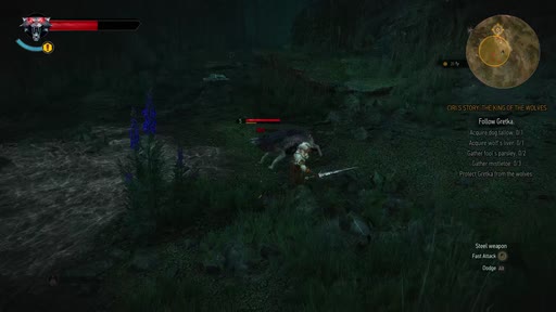 first frame of Witcher3_1920x1080_60p_8b_Main_cbr9M_L4.1_buf22M_8.9Mbps.265